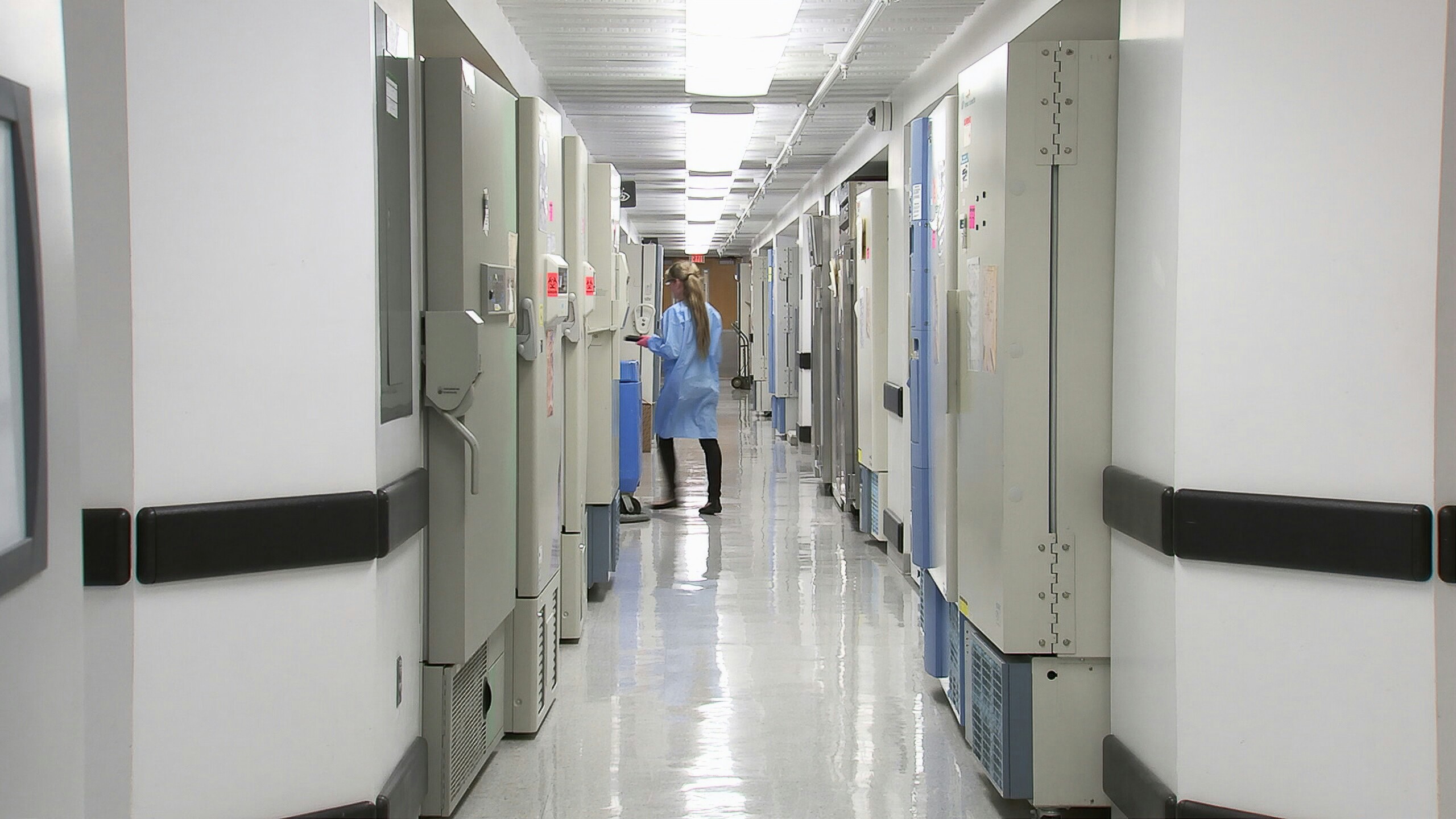 Hospital corridor with patient room doors