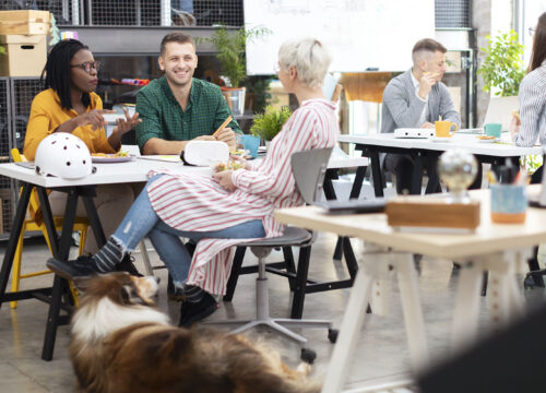 Diverse colleagues collaborating in a modern, pet-friendly open office with a dog resting on the floor nearby.