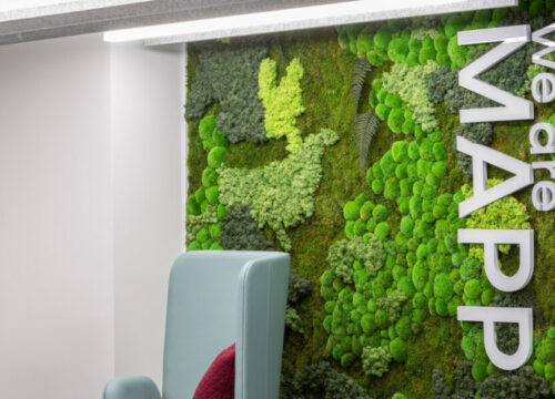 MAPP office in Portland featuring a green moss wall with a moose silhouette and white 3D letters reading 'we are MAPP.'