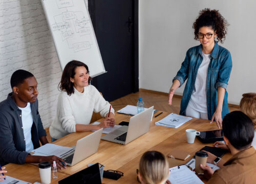 Diverse team of professionals in a business meeting, led by a standing woman presenting at a conference table.