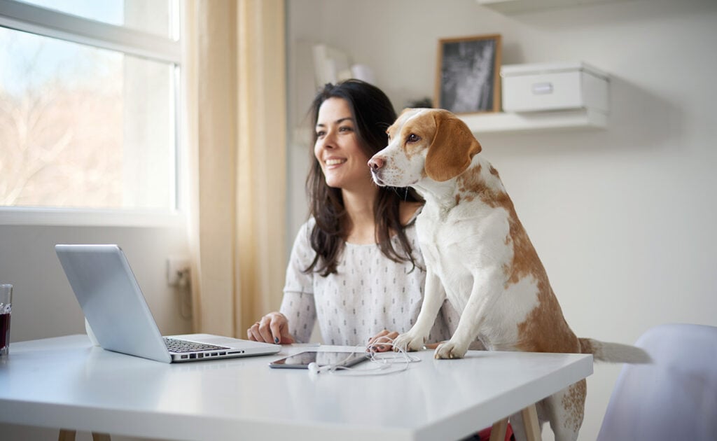 hybrid work policy